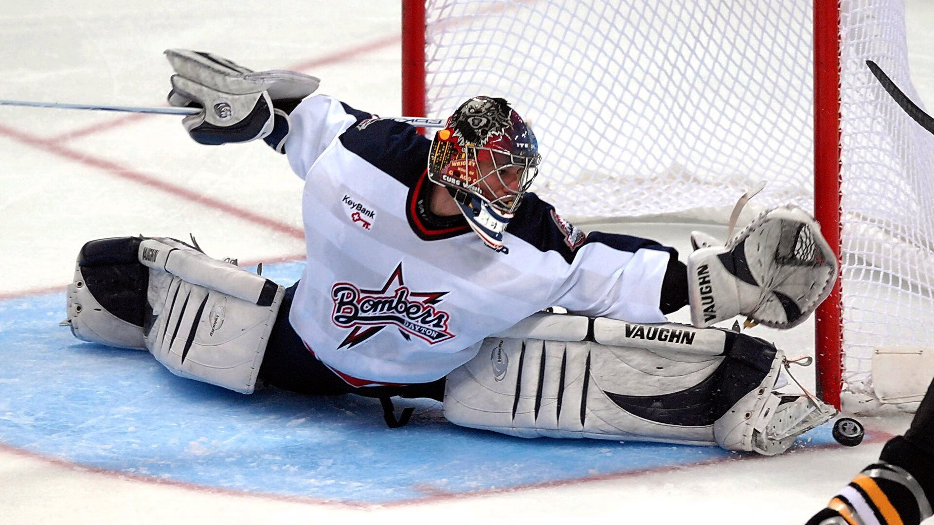 公园“无器械健身区”示范日 教练现场教学徒手训练